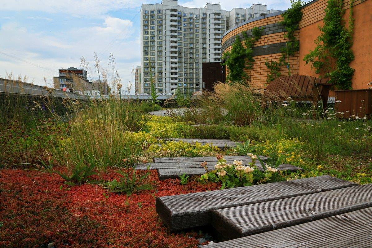 Сад на крыше