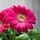 stacy_walker59