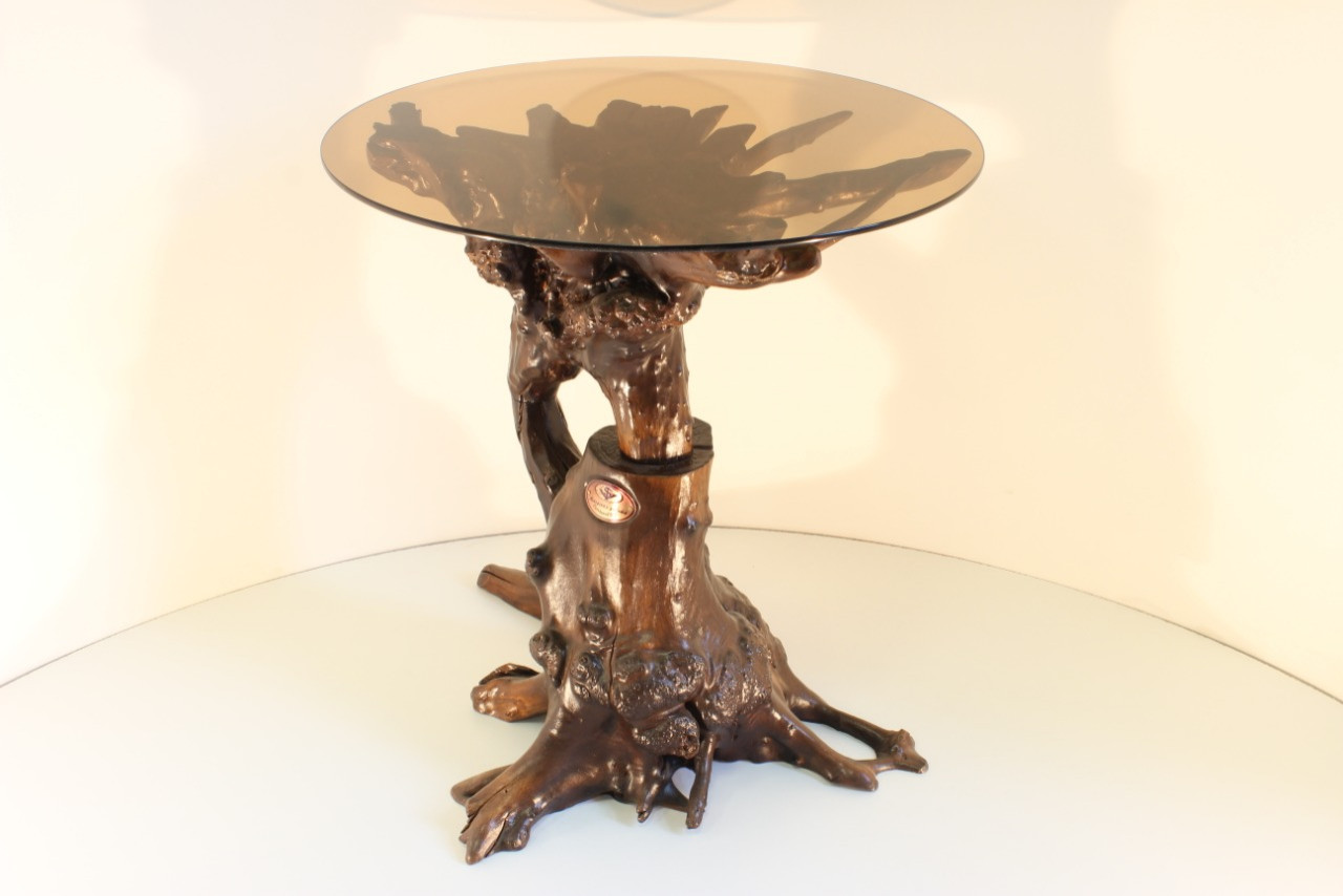 Корнепластика