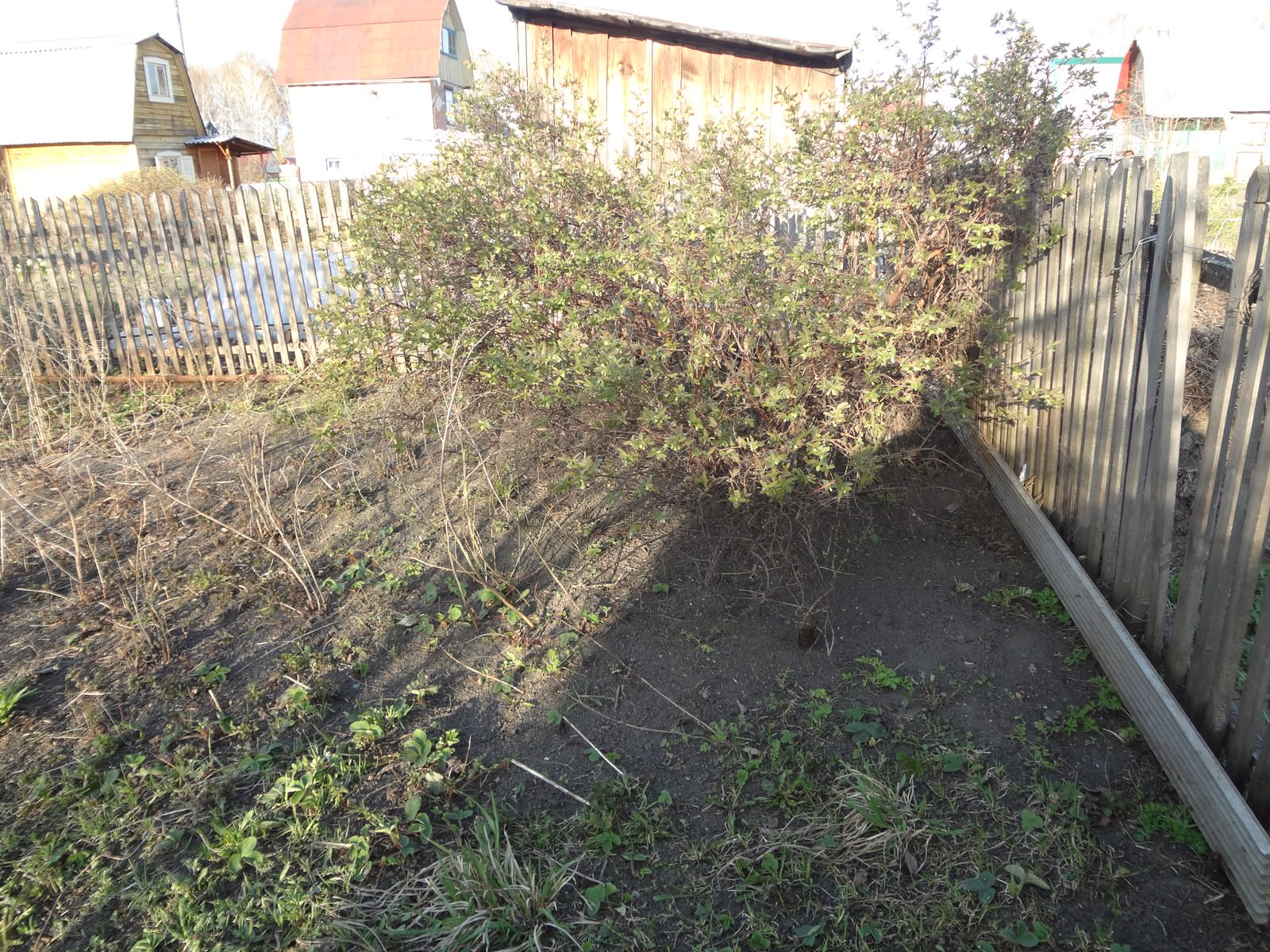 подготовка к сезону . Уход всесезонный