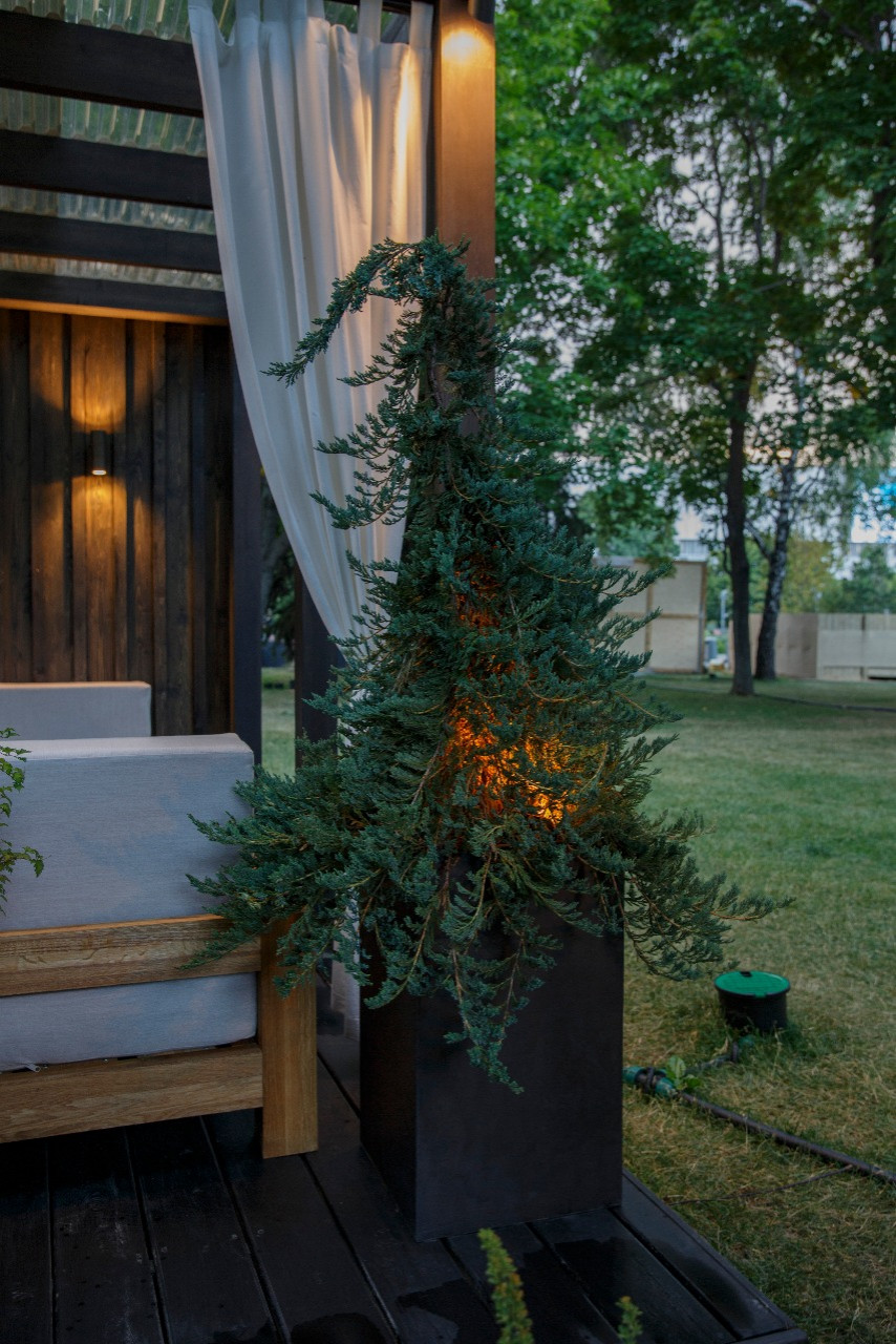 Фестиваль "Moscow Flower Show"