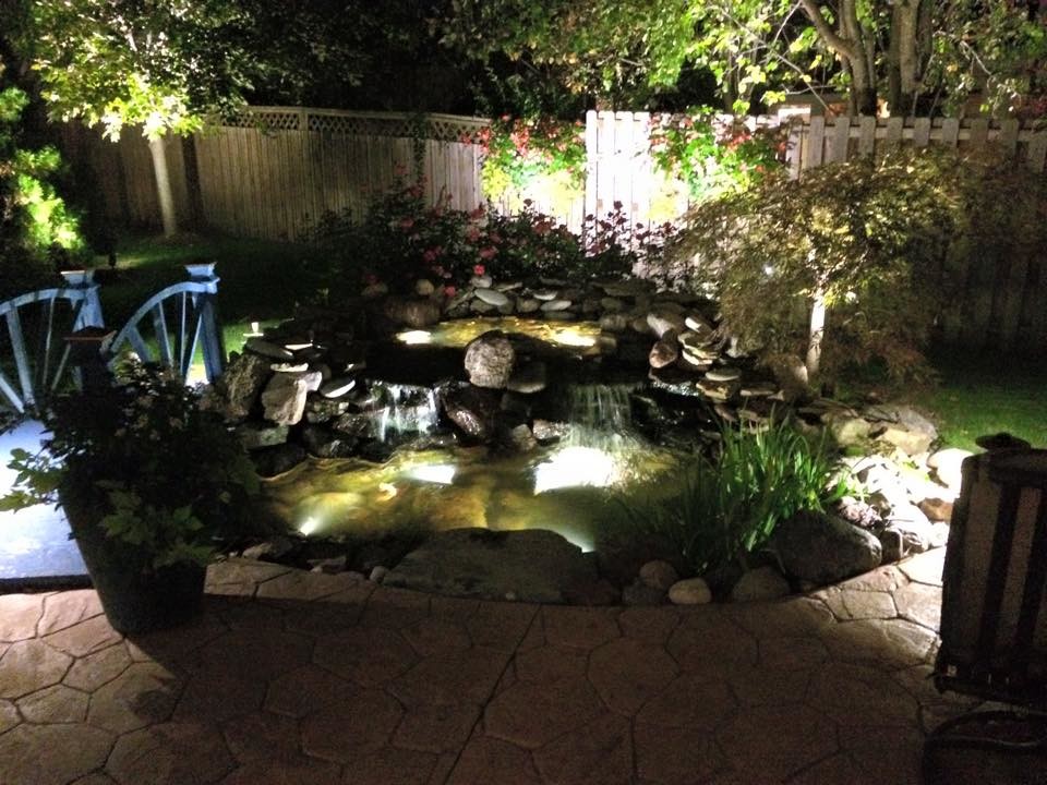 Inspiration for a mid-sized traditional backyard garden in San Diego with with pond and concrete pavers.