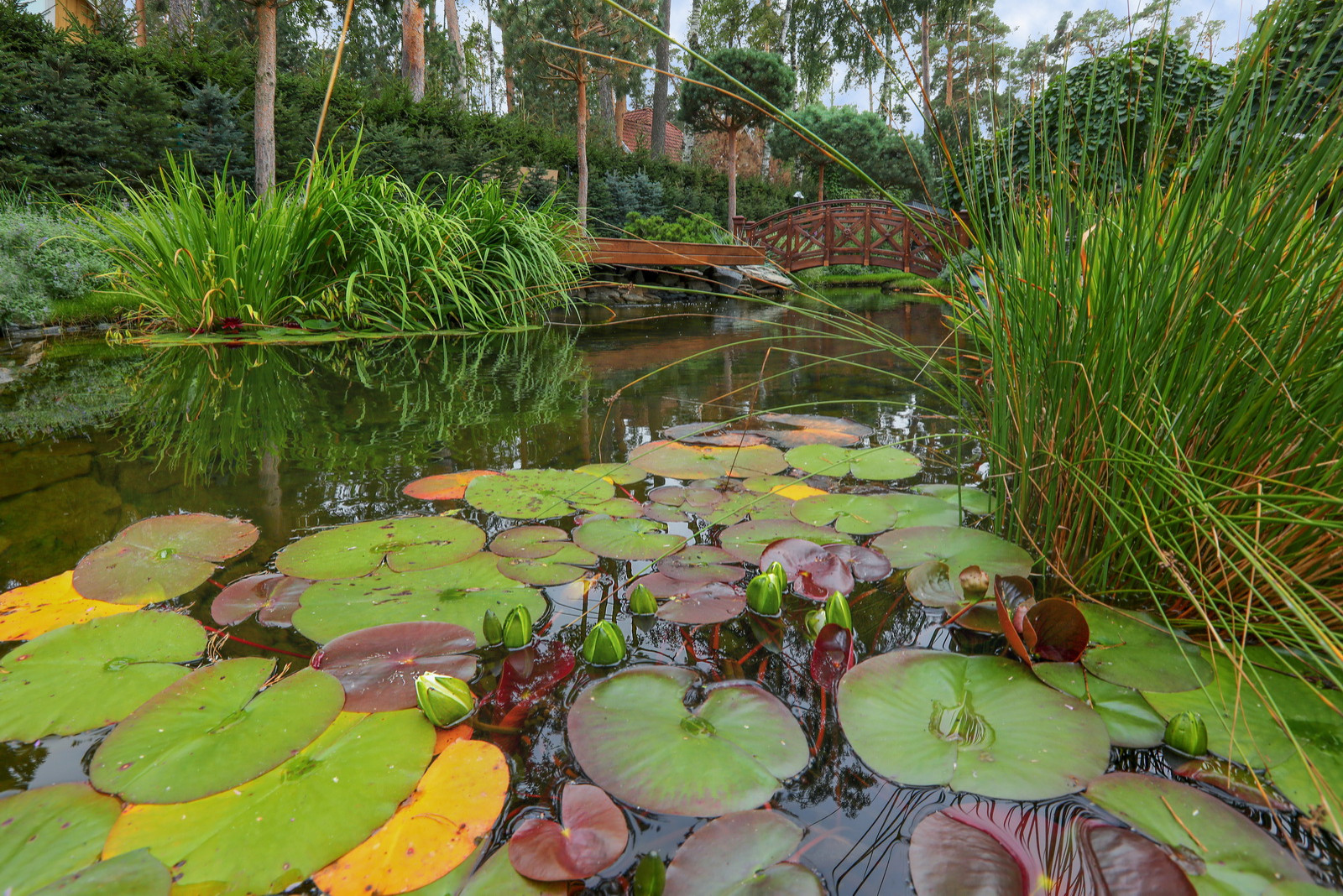 Коттеджный сад в Барвихе (дизайн и исполнение компании "Imperial Garden")