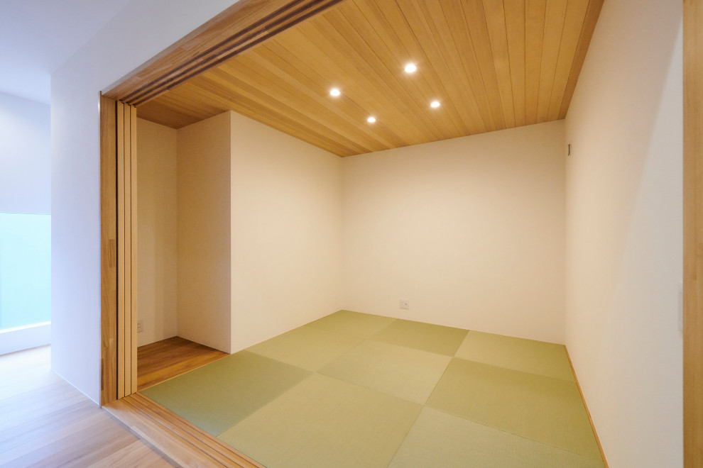 Wohnzimmer mit weißer Wandfarbe, Tatami-Boden und Holzdecke in Sonstige