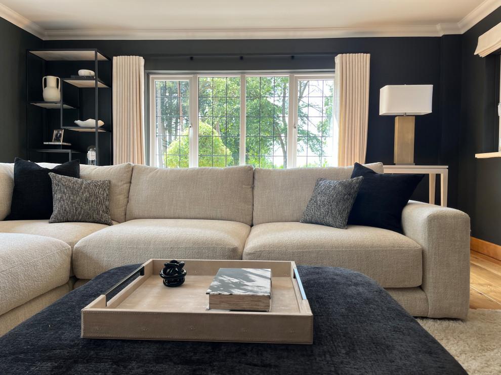 Modern Luxury Living Room