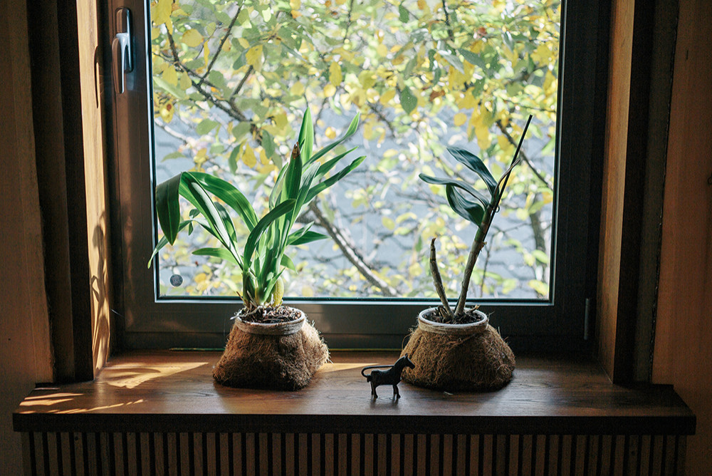 Дом в Речнике