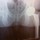 david_hiser