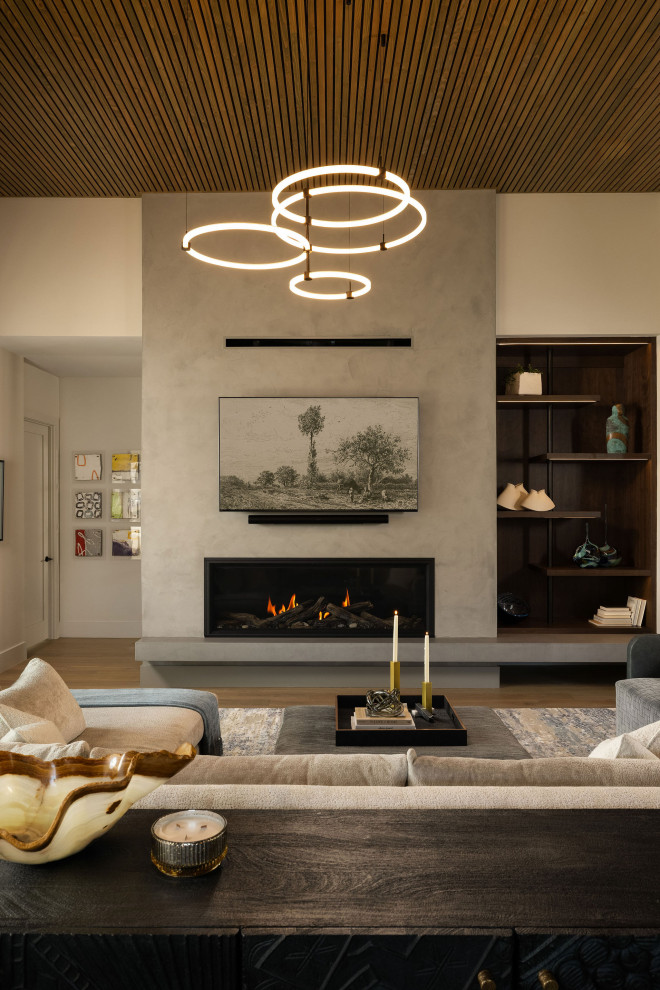 Living room - contemporary living room idea
