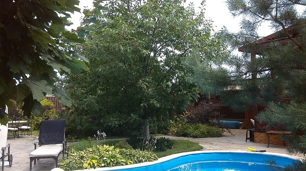 Домик среди старых дач