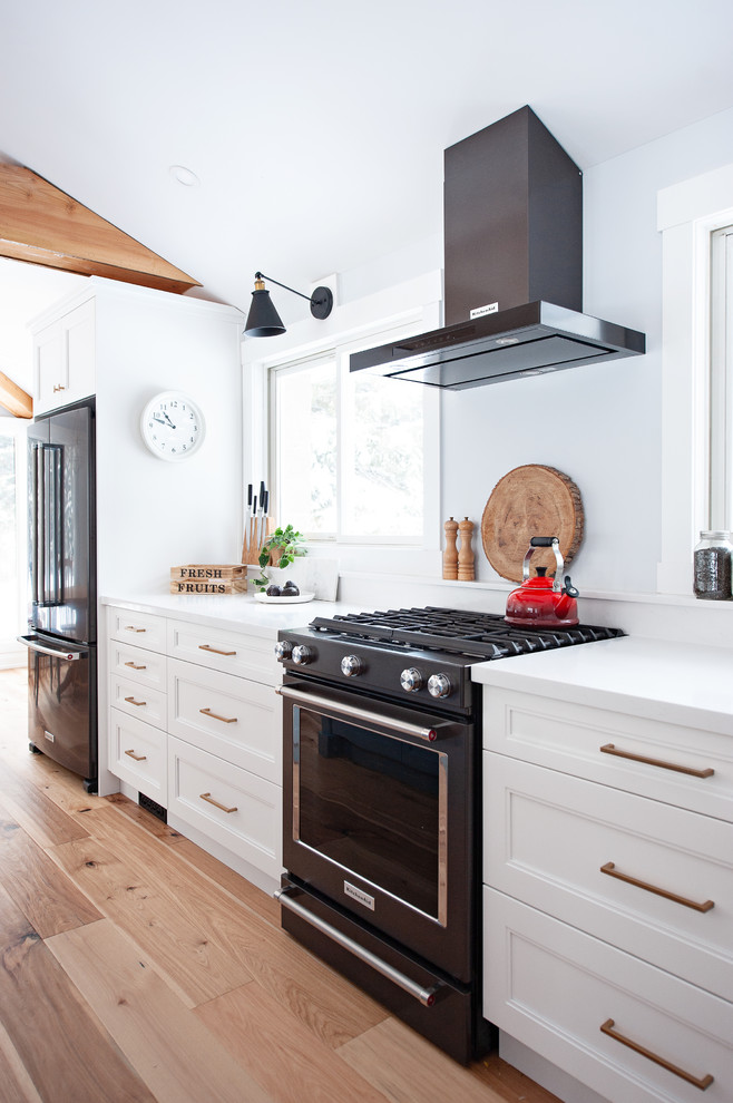Kitchen - transitional kitchen idea in Toronto
