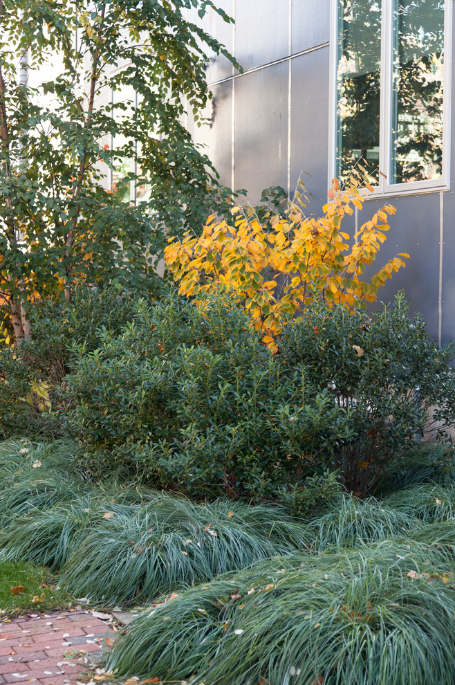Photo of a contemporary garden in Boston.