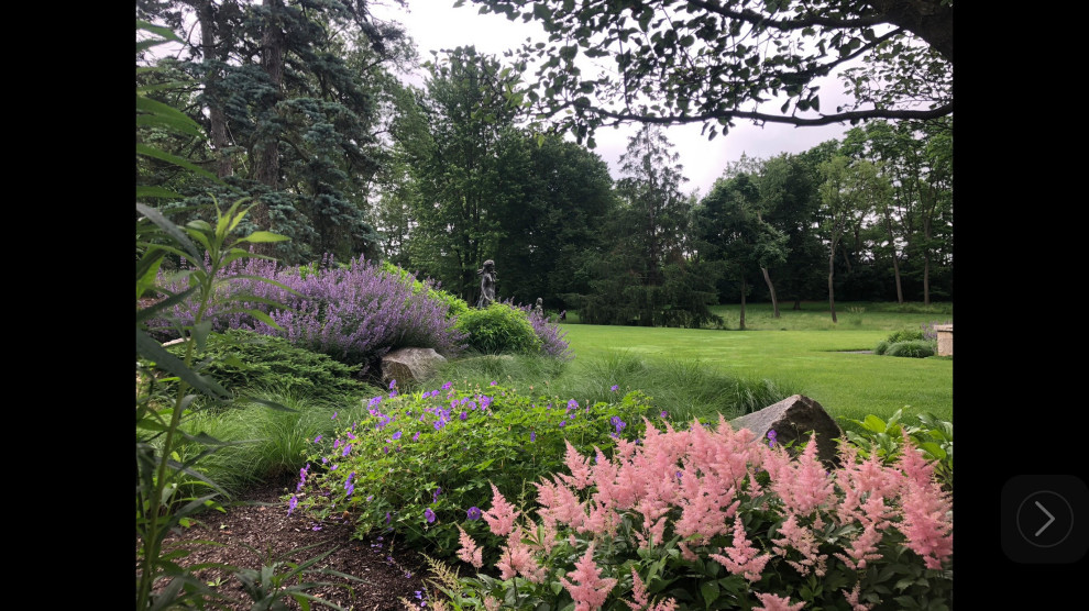 Perennials