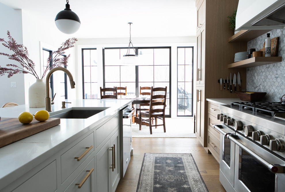 Home design - transitional home design idea in Chicago