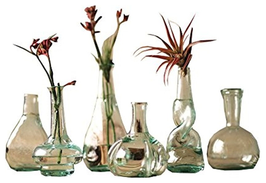 SET OF 6 BOTTLE BUD VASES Contemporary Vases by First of a Kind
