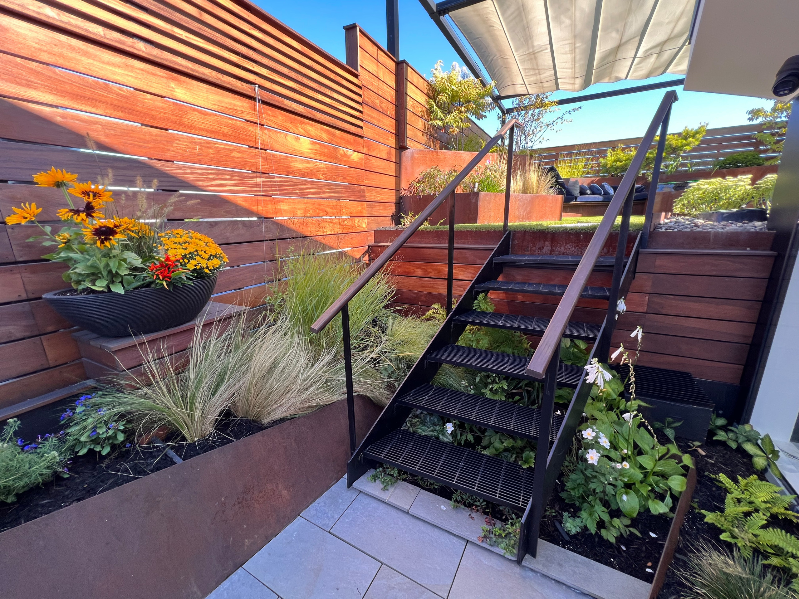 Borough Park Modern Rooftop