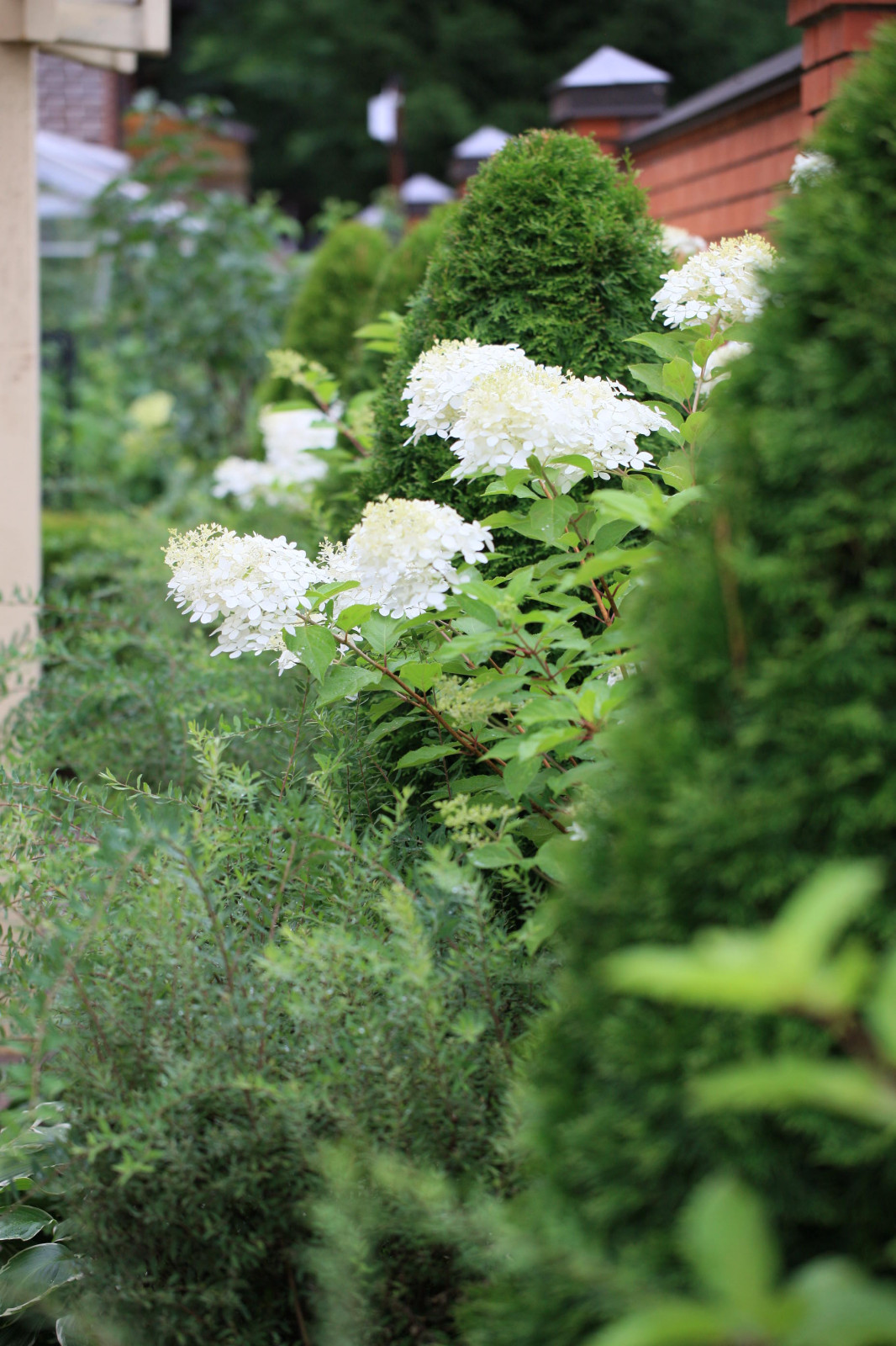 Сад Флориста