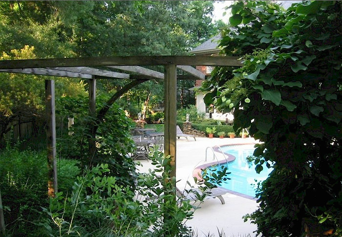 This is an example of a transitional landscaping in Raleigh.