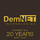 DemNET Technologies