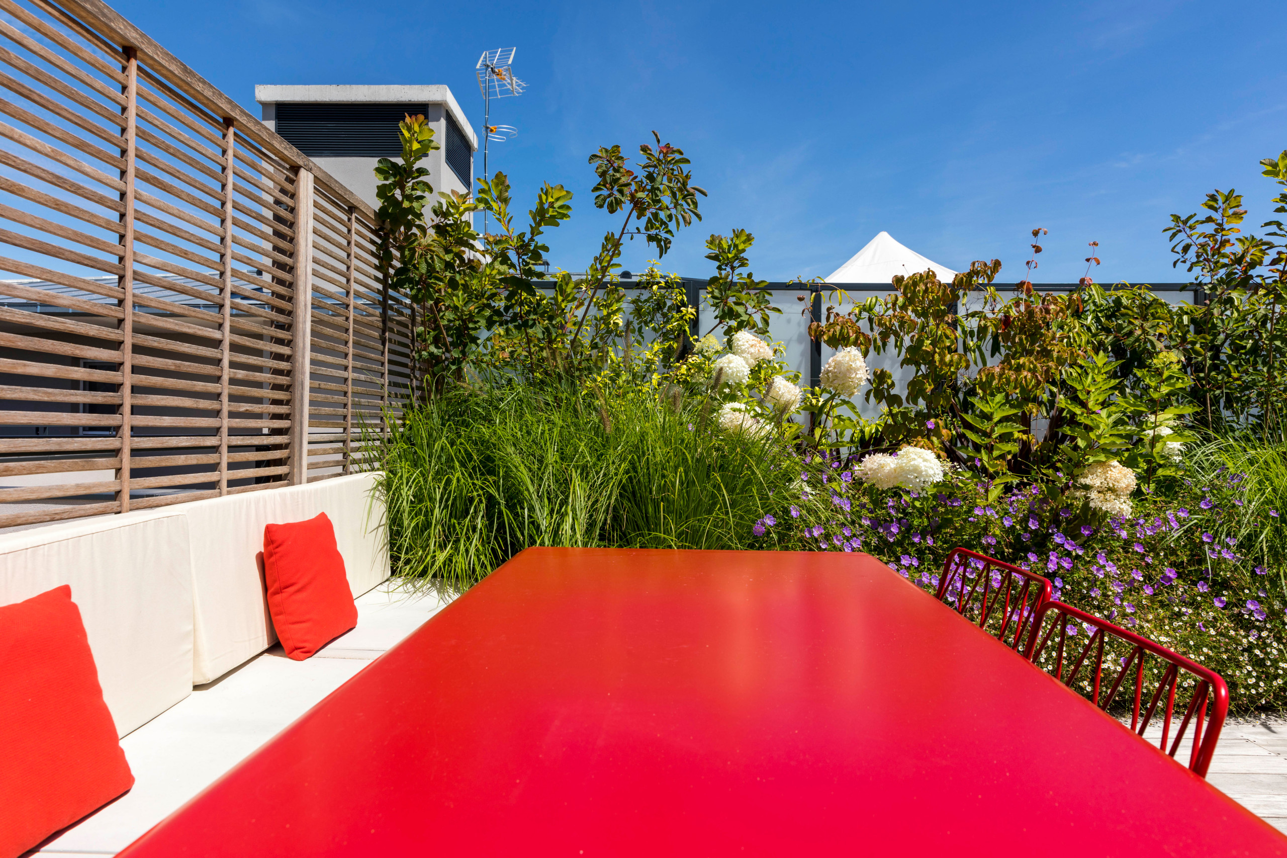 une terrasse foisonnante!