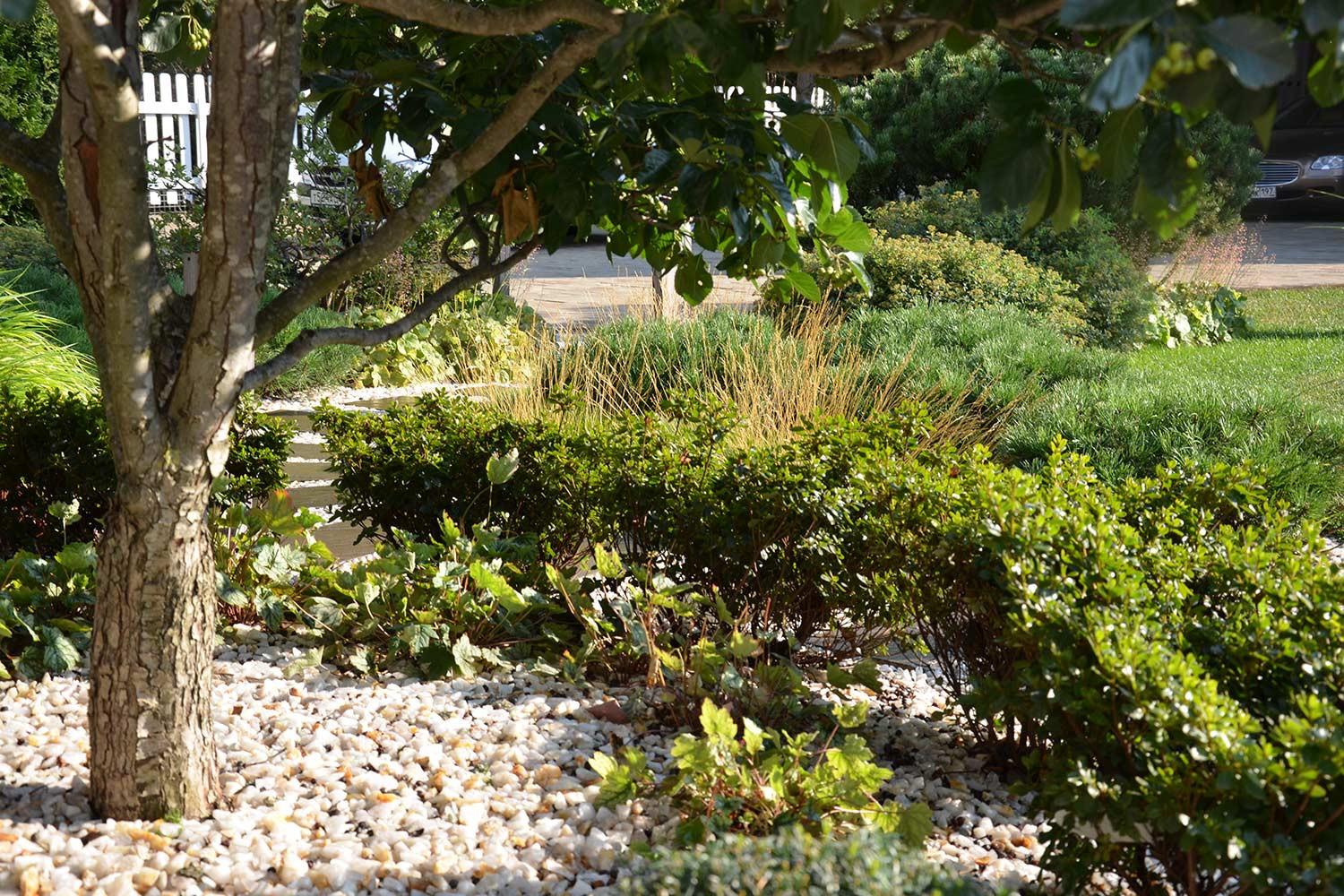 Современный сад в КП "Бенилюкс" вилла 2