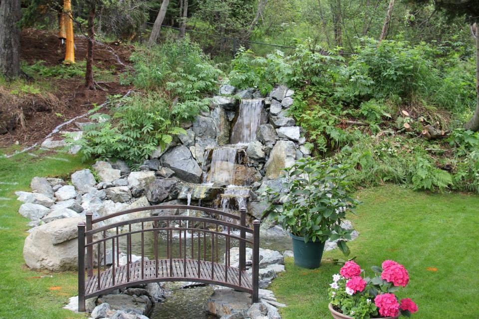 Photo of a large transitional full sun backyard pond.
