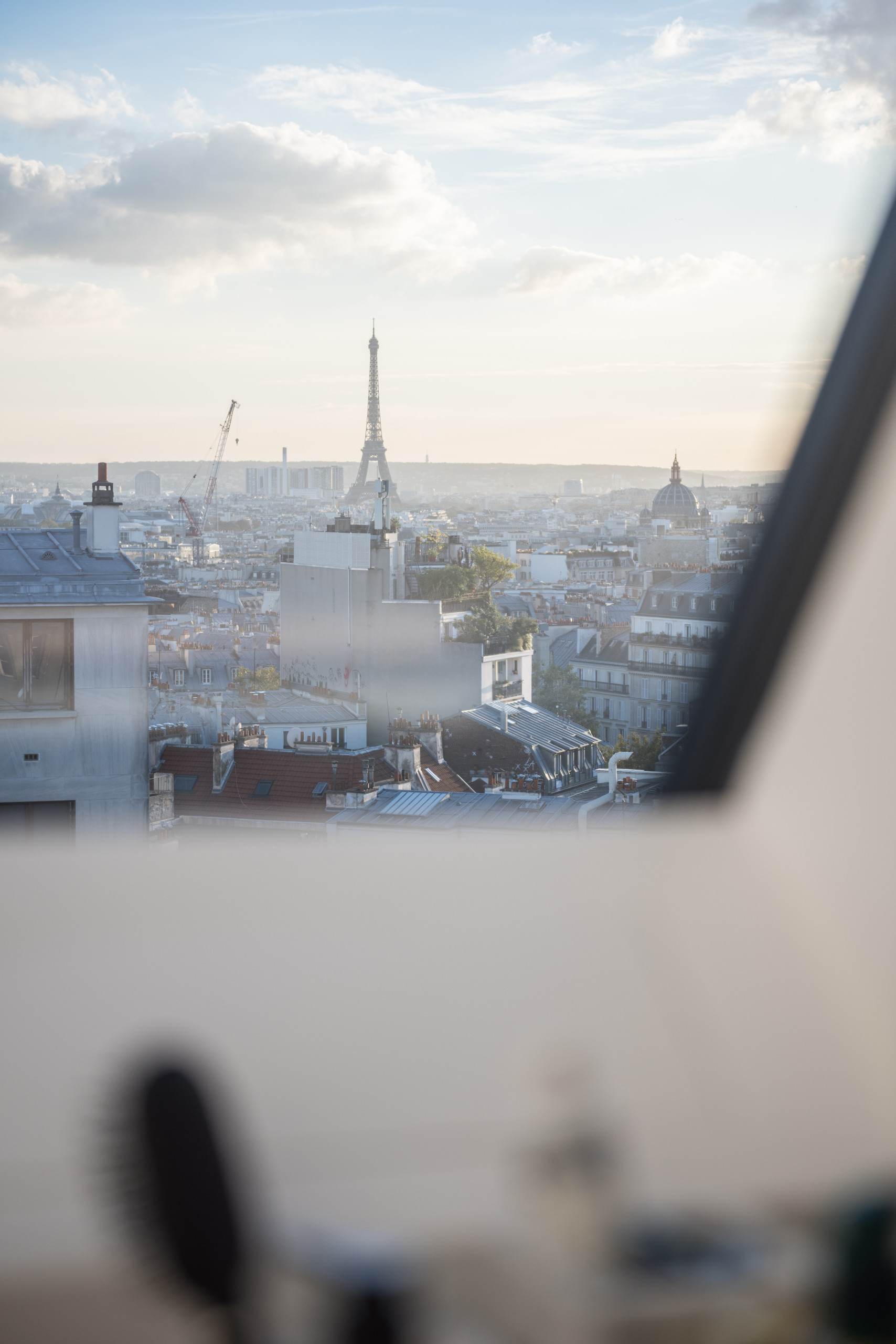 Les oiseaux de Montmartre