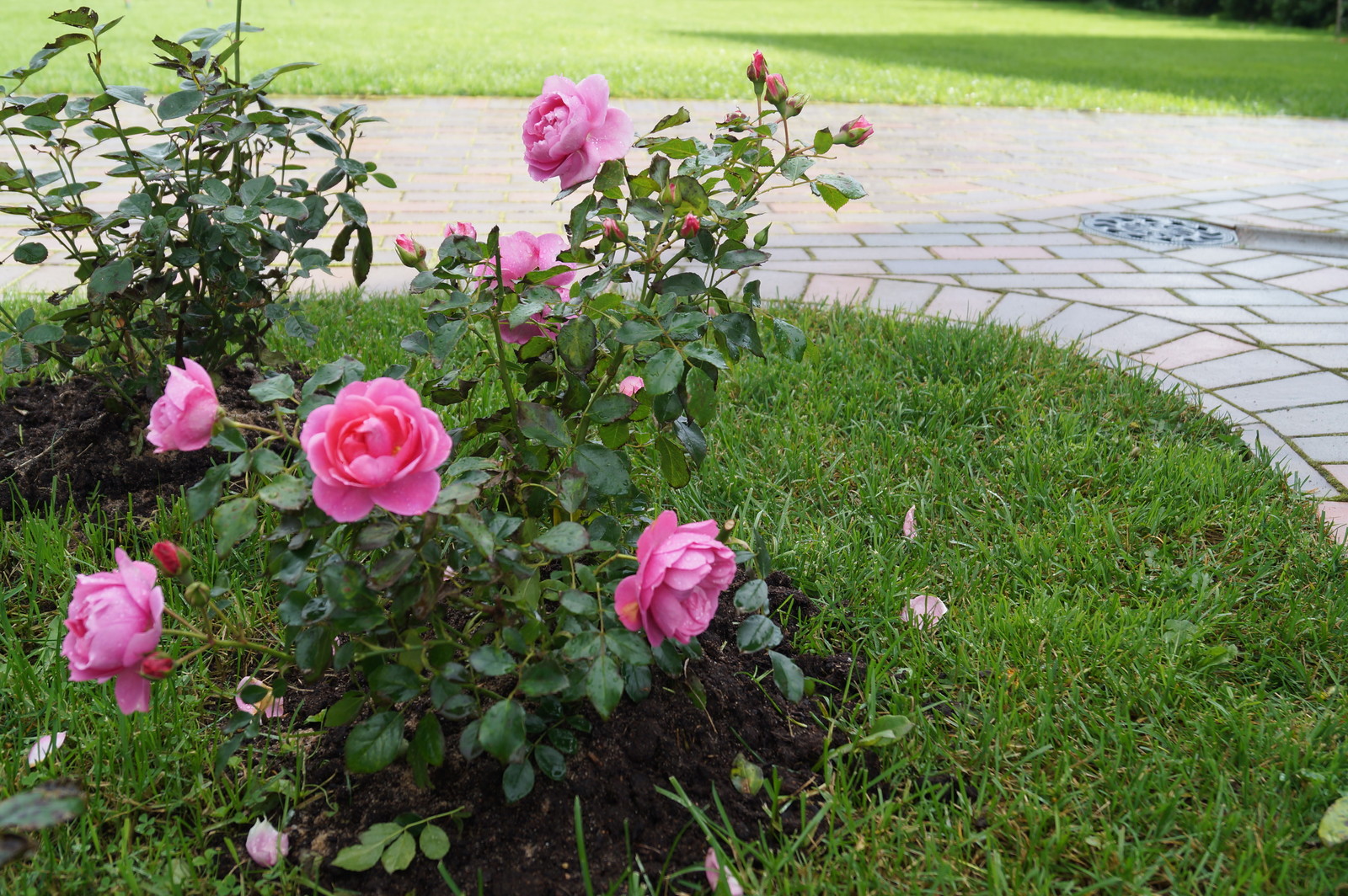 Токкари Лэнд