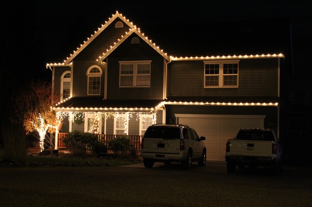 Professional Christmas Light Installation traditional-exterior