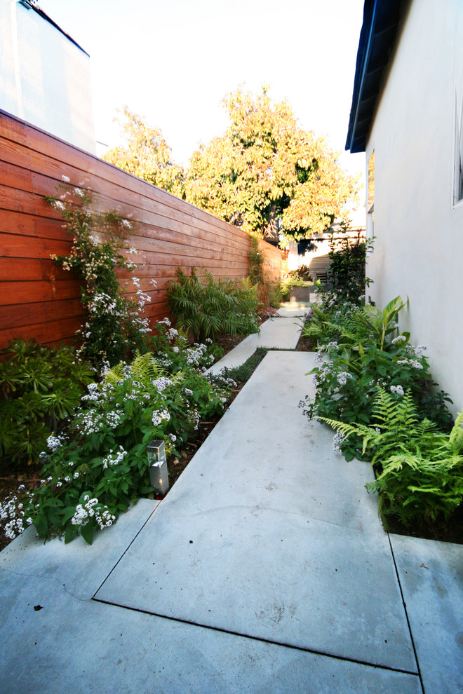 Modern side yard partial sun garden in Los Angeles with a garden path and concrete pavers.