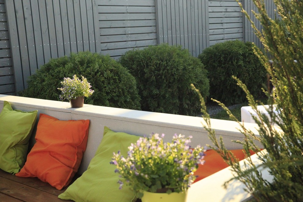 Программа Дачный Ответ