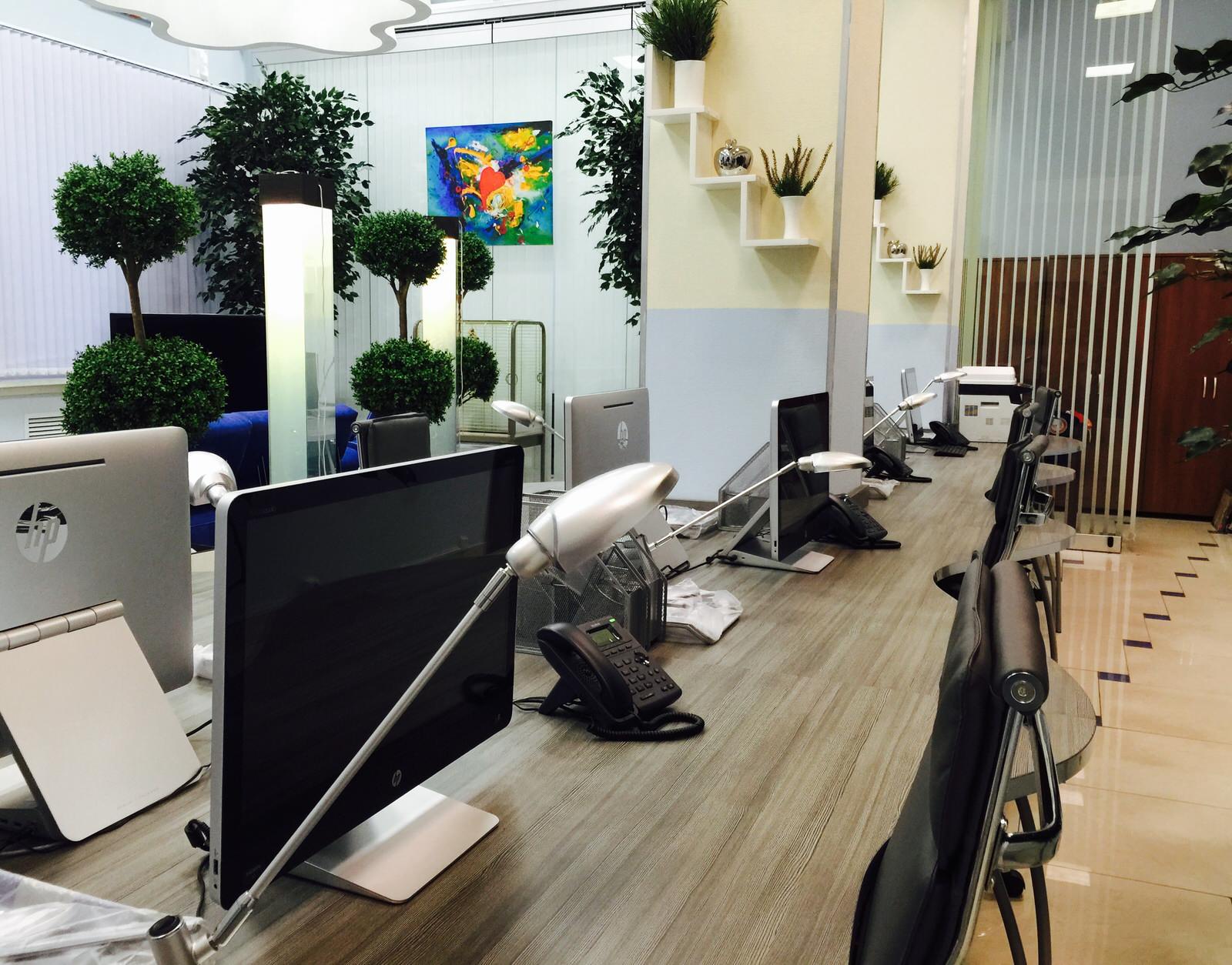 Офис с деревьями