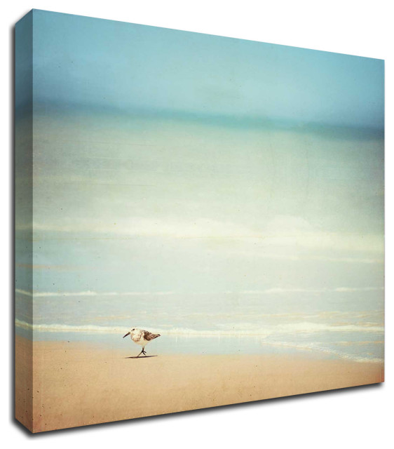 Two Birds on Beach John Juracek Coastal Ocean Photograph Print Poster 18x18
