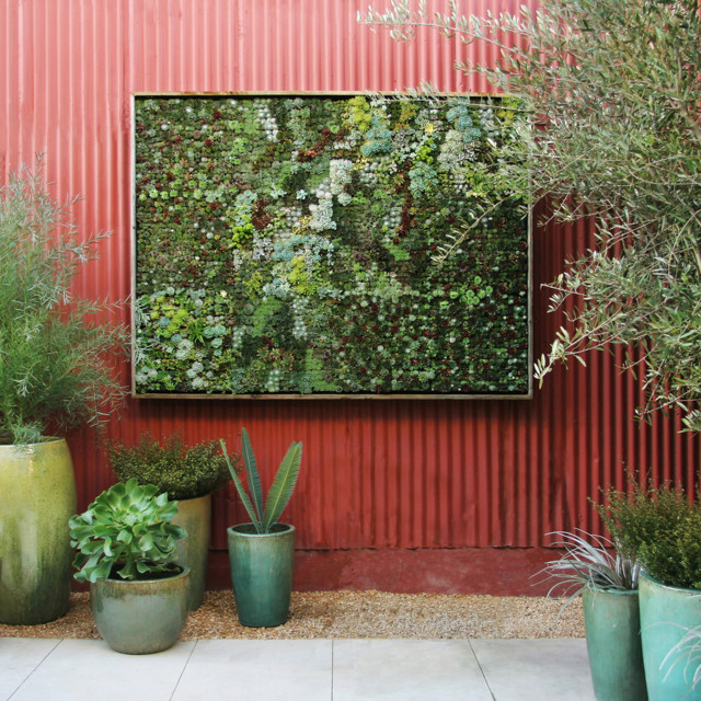 Succulent Frame modern-patio