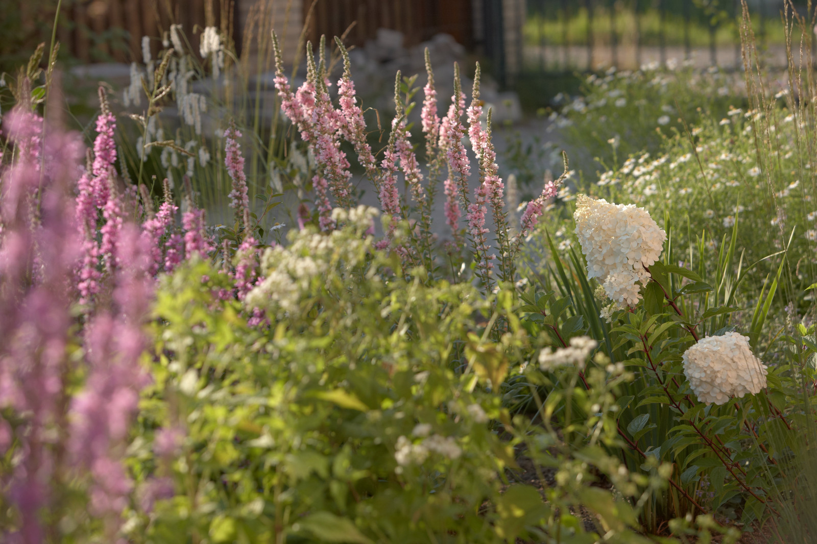 Отражение в каплях росы