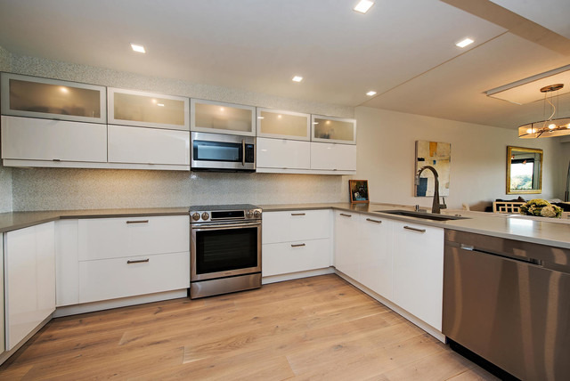 Hyde Park contemporary-kitchen