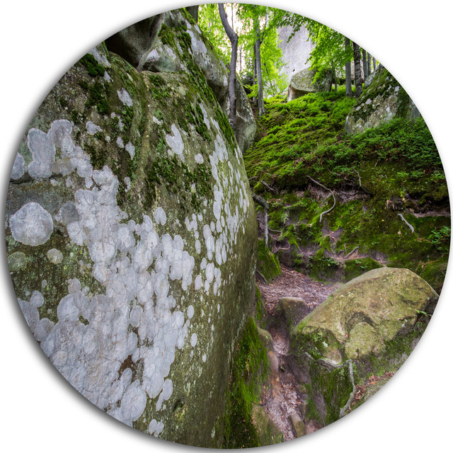 Rocks In Deep Moss Forest, Landscape Round Wall Art - Rustic - Metal