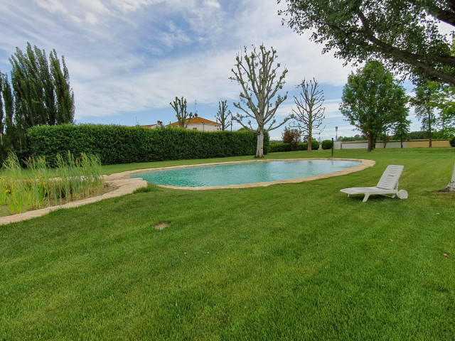 Natural swimming pool rustikt-pool