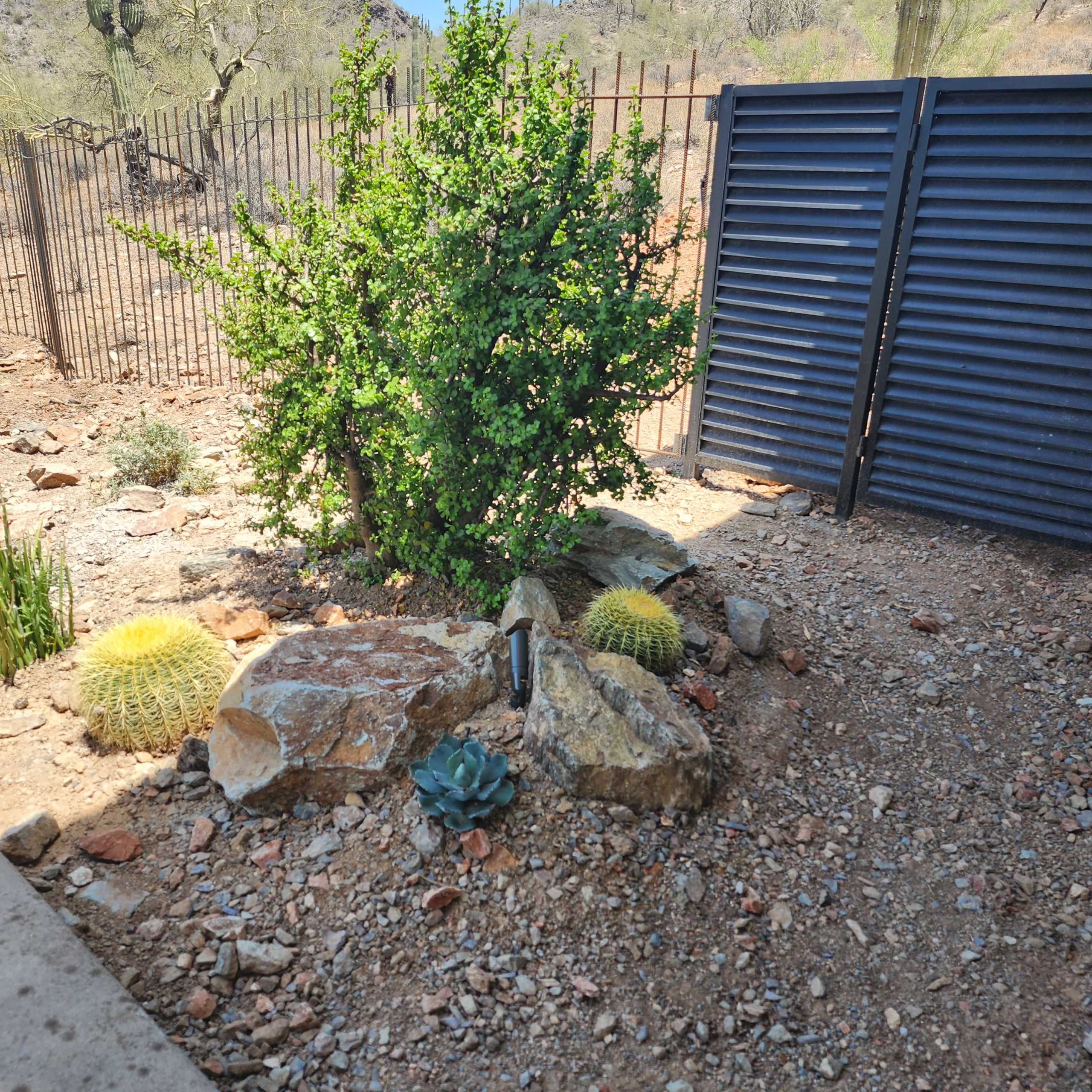 Cave Creek