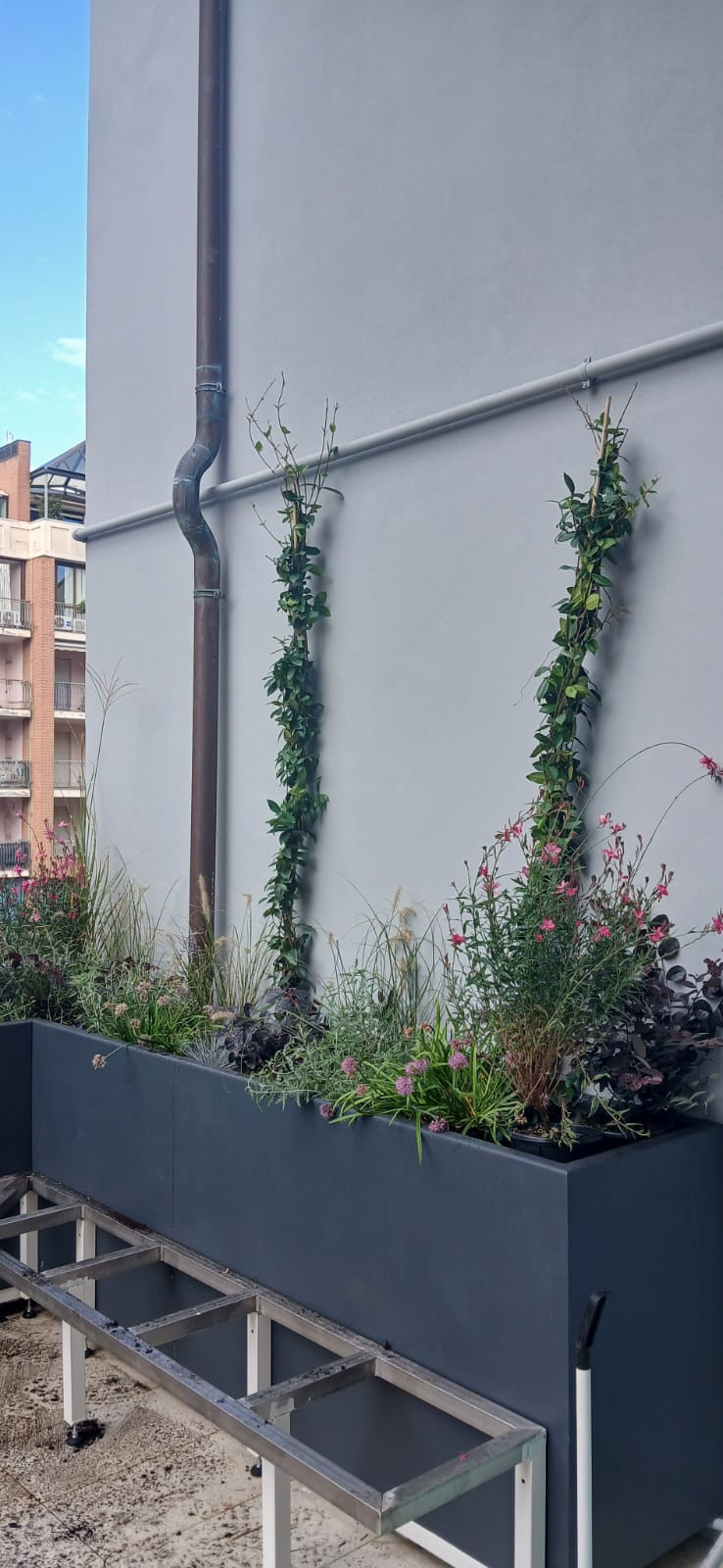 Realizzazione Terrazza dai sapori mediterranei