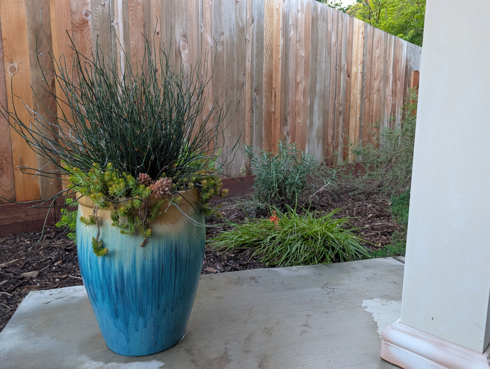 Mediterranean for Entertaining