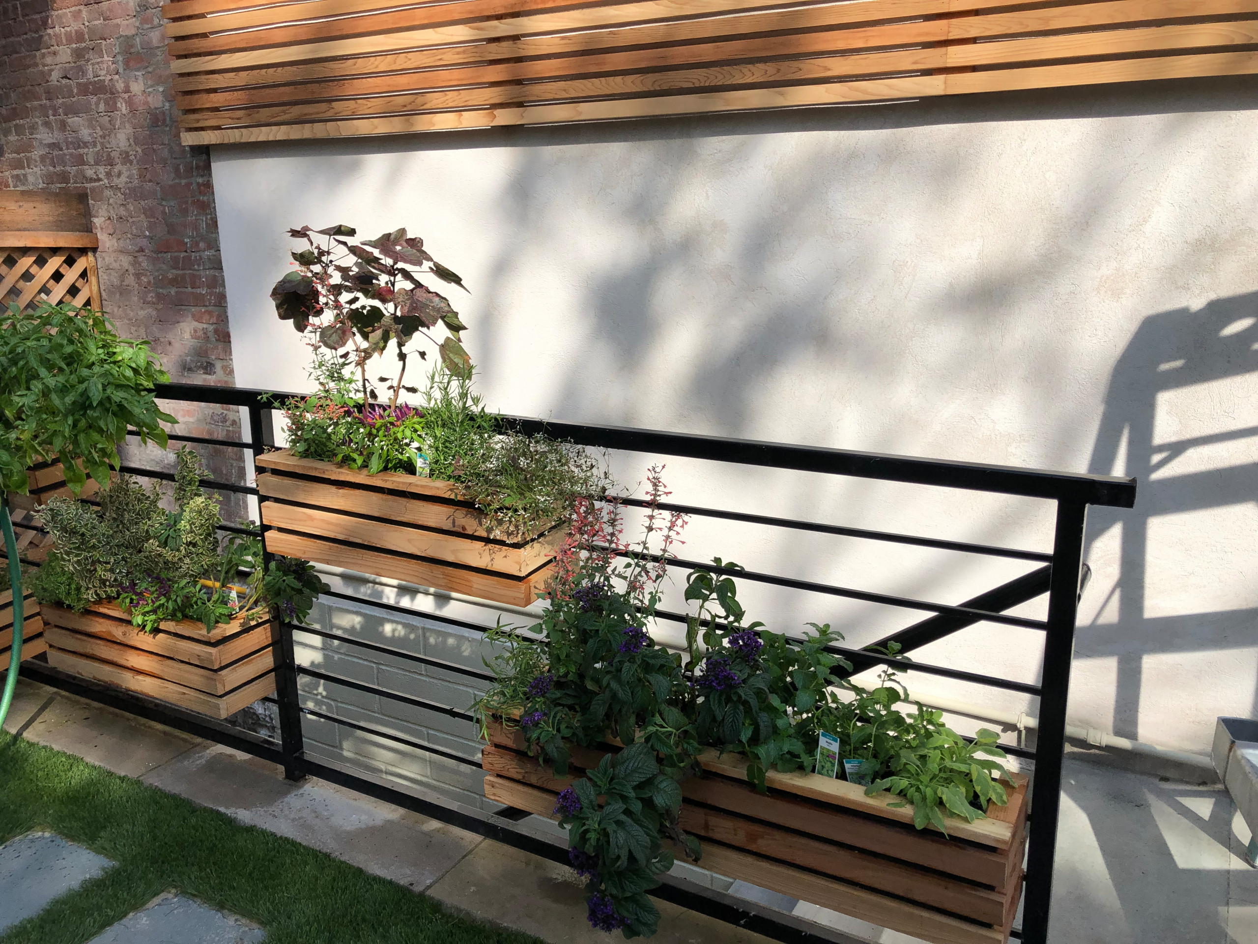 Grow your veggies