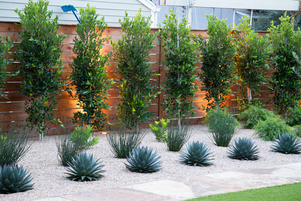 Photo of a large modern backyard garden in San Luis Obispo.