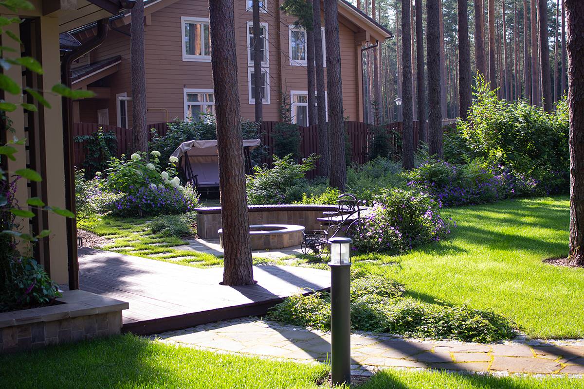 Еловая аллея