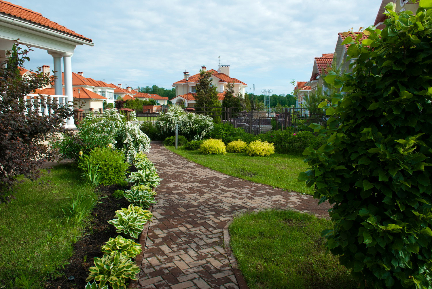 Новый свет, 18 соток