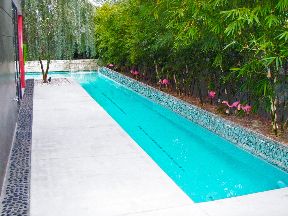 This is an example of a midcentury lap pool in Phoenix.