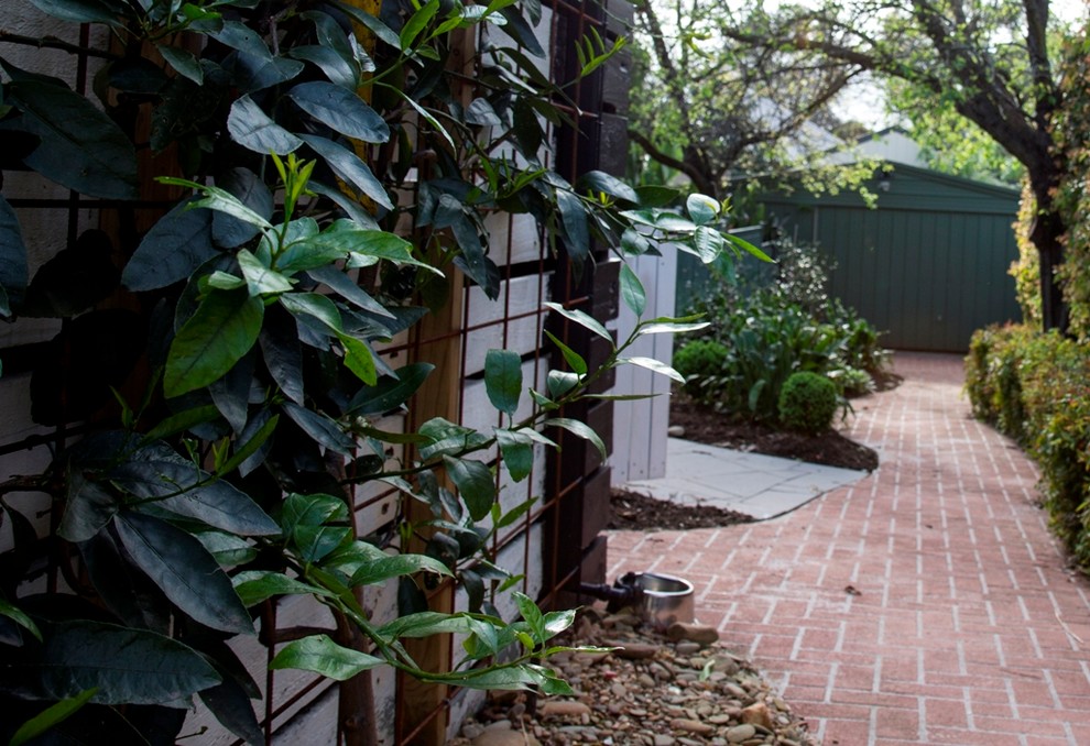 Ringwood Garden - Contemporary - Landscape - Melbourne ...
