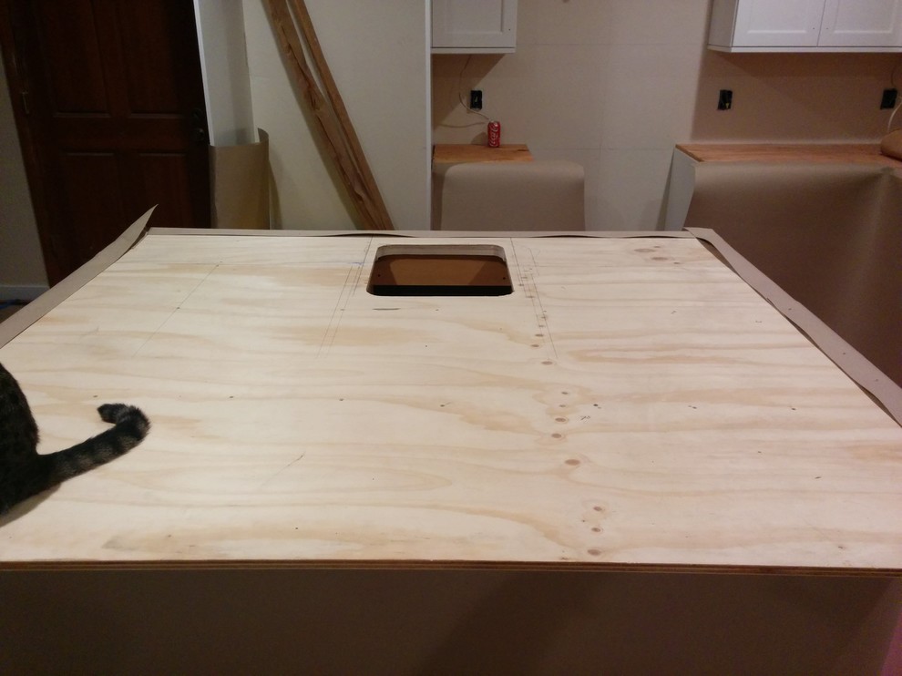 Island Sink Slightly OffCentered