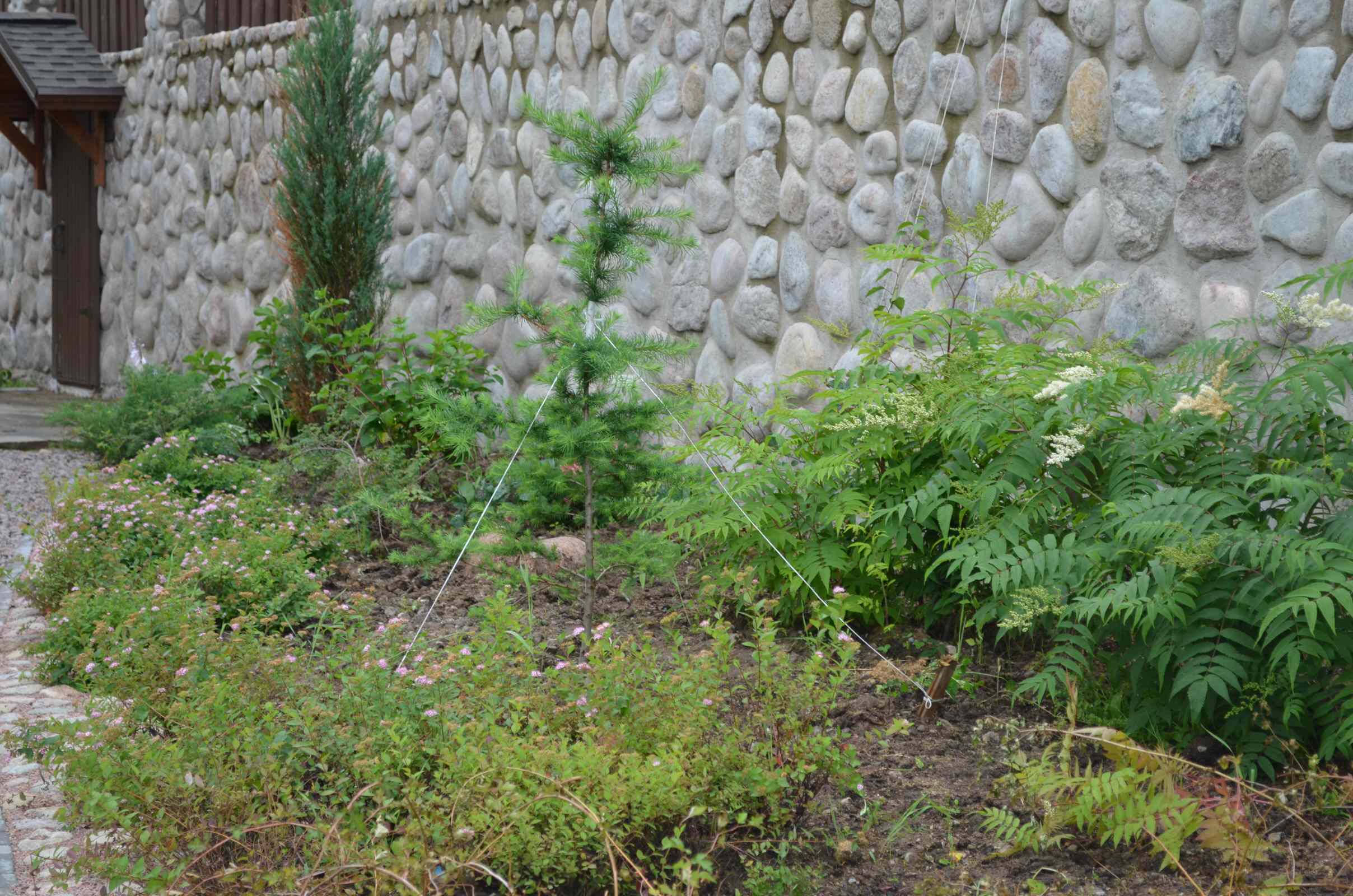 Воплощение проекта. Мельниково