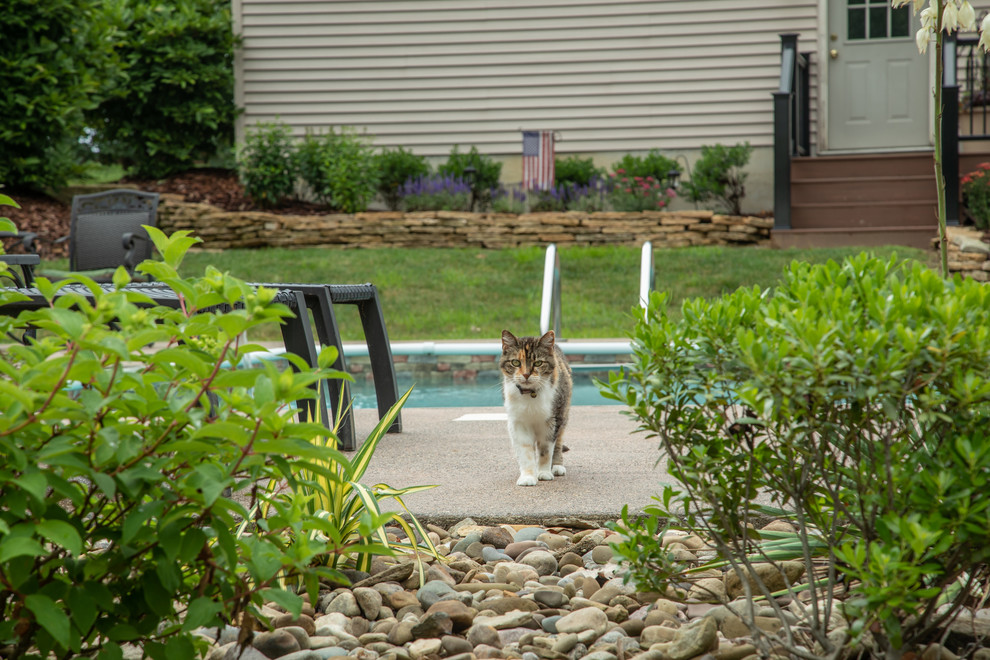 Inspiration for a mid-sized transitional drought-tolerant and full sun backyard stone retaining wall landscape for summer.