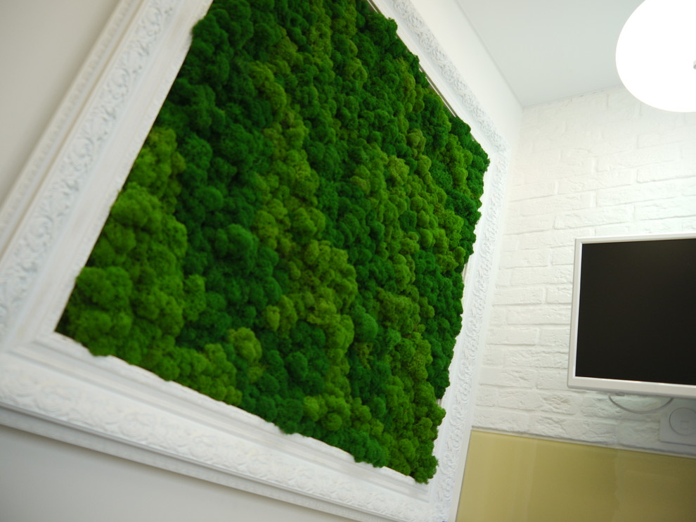 Озеленение мхом частной квартиры